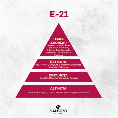 E-21 Erkek Parfüm 50ml Edp