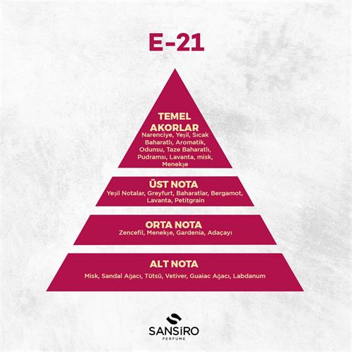 E-21 Erkek Parfüm 100ml Edp