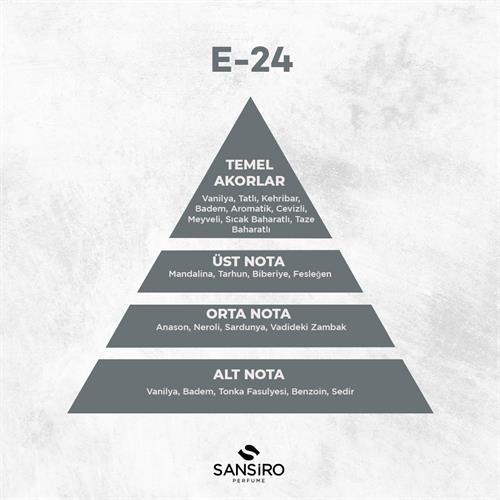 E-24 Erkek Parfüm 50ml Edp