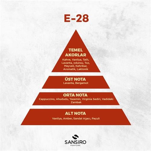 E-28 Erkek Parfüm 100ml Edp
