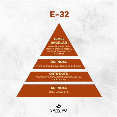 E-32 Erkek Parfüm 100ml Edp
