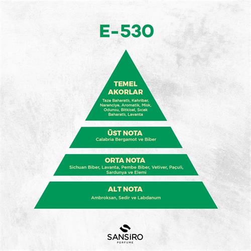 E-530 Erkek Parfüm 100ml Edp