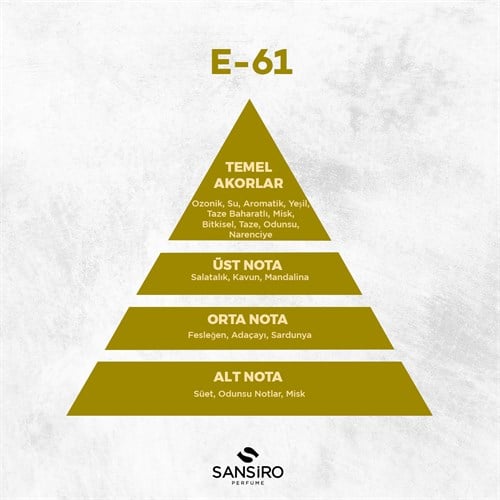 E-61 Erkek Parfüm 50ml Edp