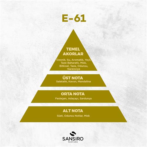 E-61 Erkek Parfüm 100ml Edp