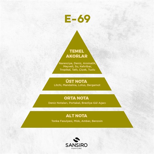 E-69 Erkek Parfüm 50ml Edp