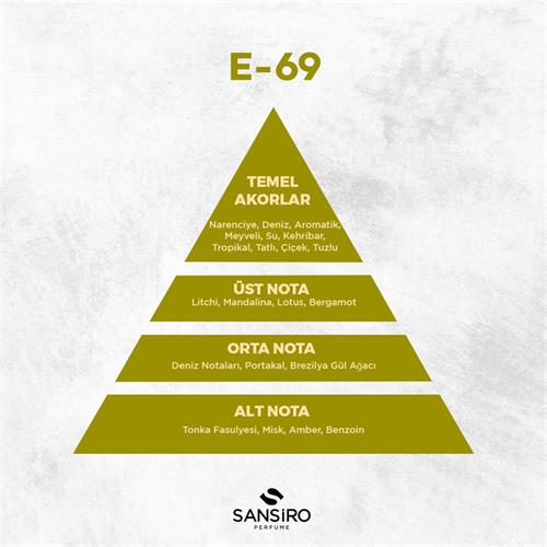 E-69 Erkek Kalem Parfüm 8ml Edp