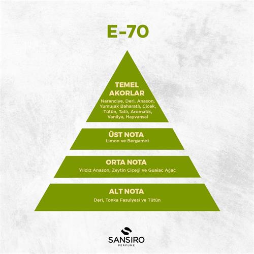 E-70 Erkek Parfüm 100ml Edp