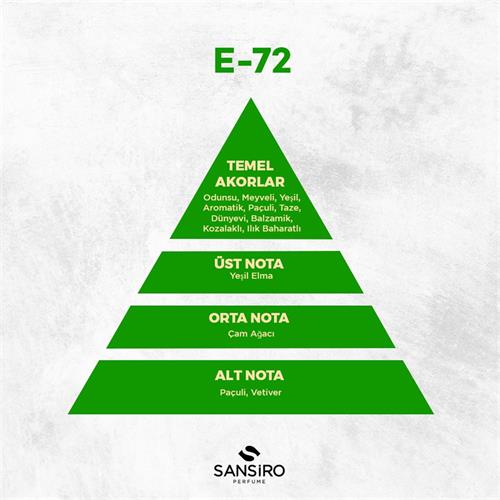 E-72 Erkek Parfüm 100ml Edp
