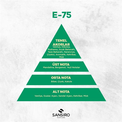 E-75 Erkek Parfüm 50ml Edp