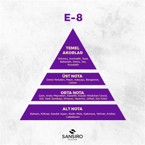 E-8 Erkek Parfüm 100ml Edp