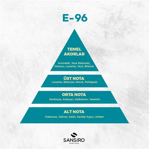 E-96 Erkek Parfüm 50ml Edp