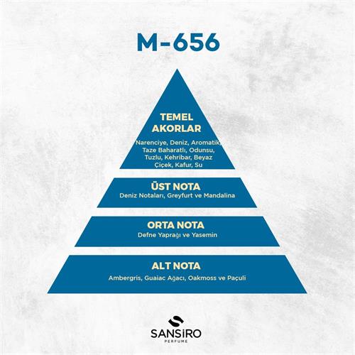 M-656 Erkek Parfüm 100ml Edp