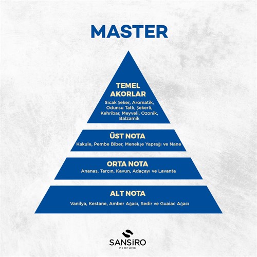 Master Erkek Parfüm 100ml Edp