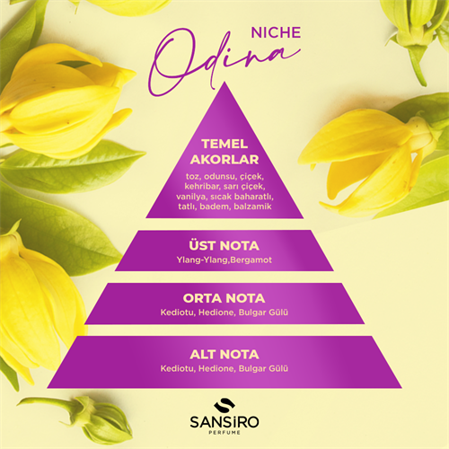Niche Atelier Odina Unisex 100ml Edp