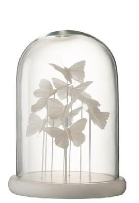 JOLIPA - Jolipa Bell Jar Butterfly Glass White
