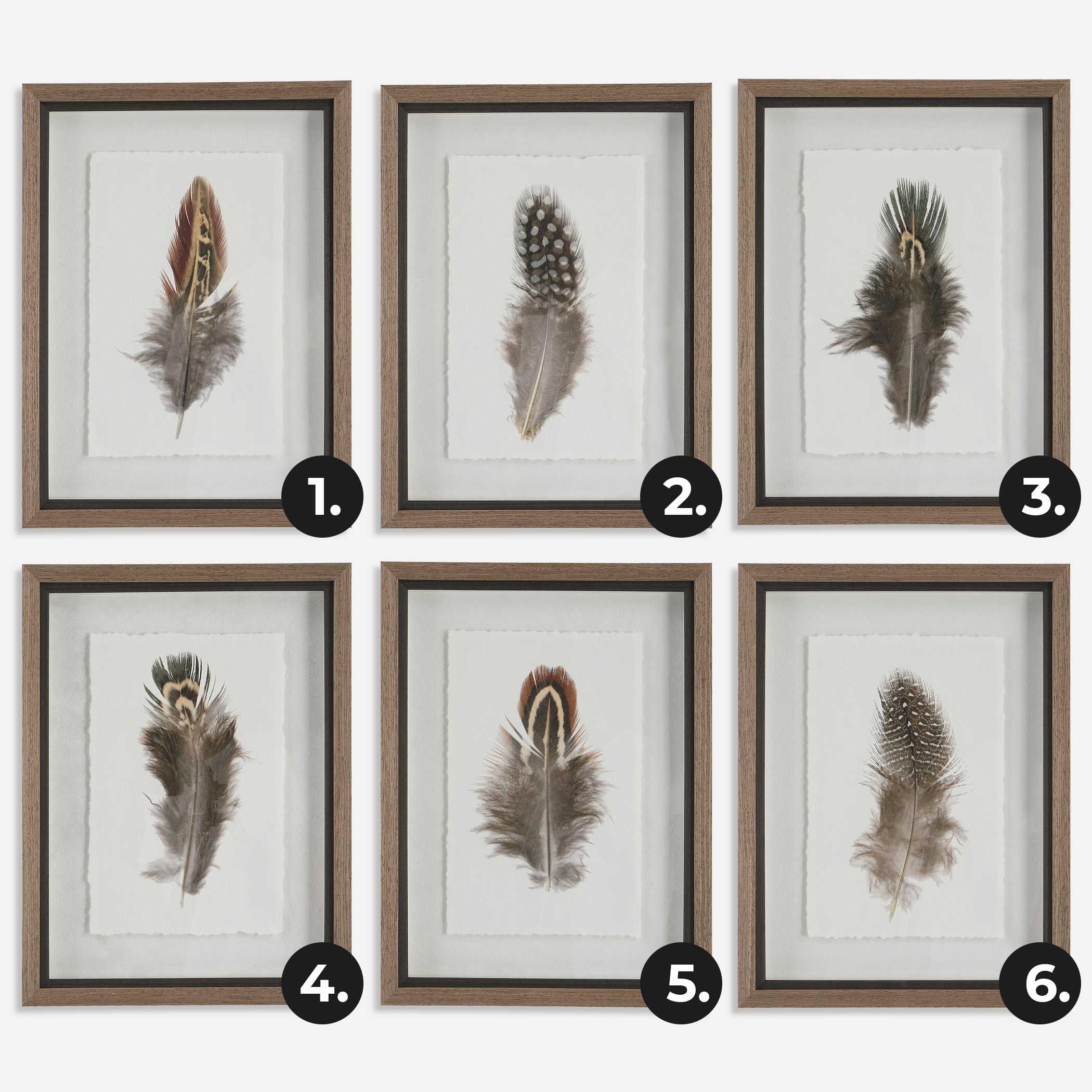Uttermost - Uttermost Birds Of A Feather Framed Prints