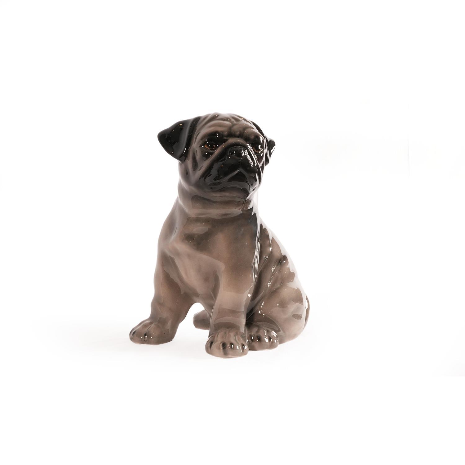 ABHİKA - ABHİKA CARLINO GRAY  DOG