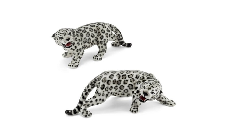 ABHİKA - ABHİKA CHEETAH 