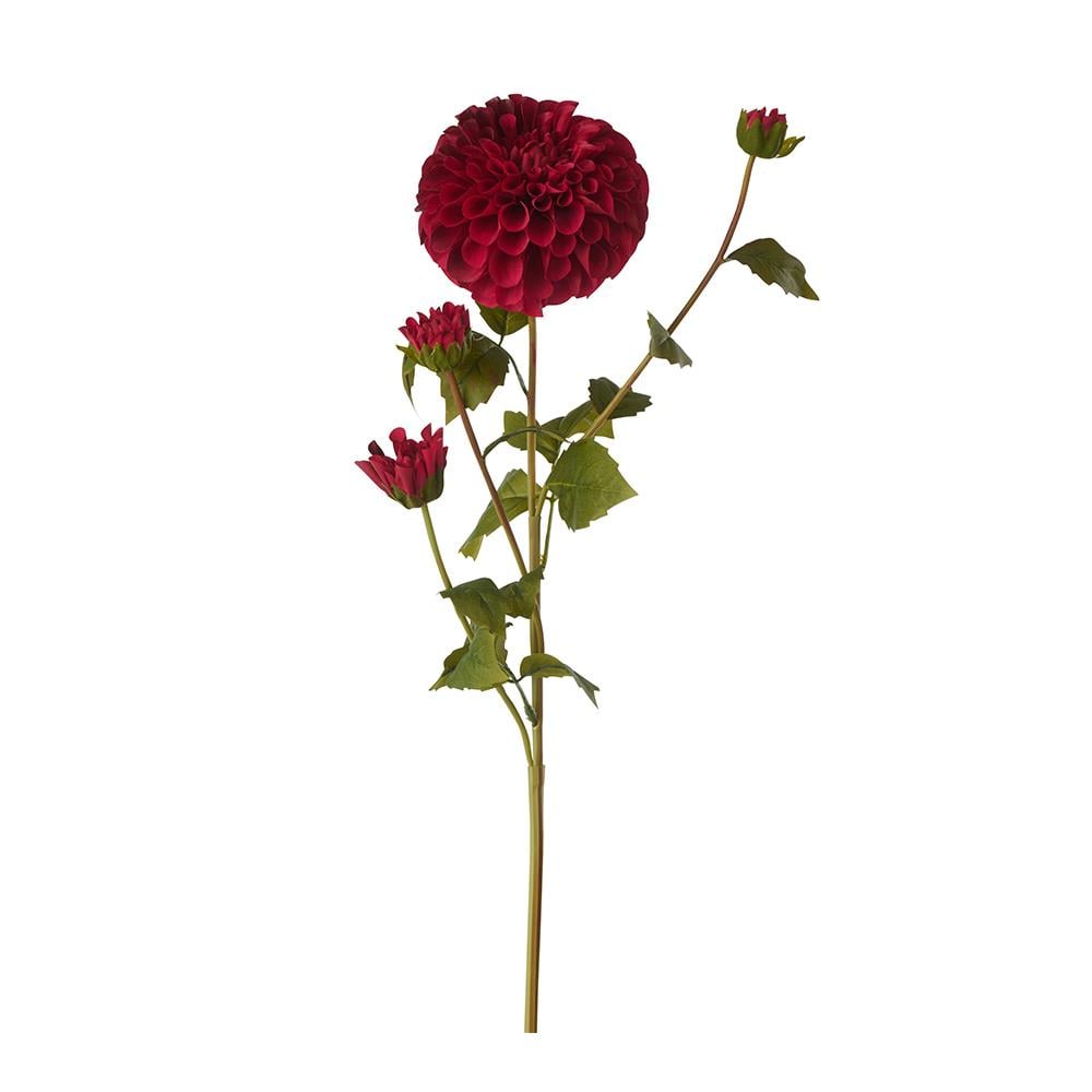 JOLIPA - Jolipa Dahlia Çiçeği Dal Bordo