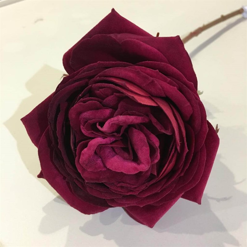 MON JARDİN - MON JARDİN BORDO BÜYÜK GÜL