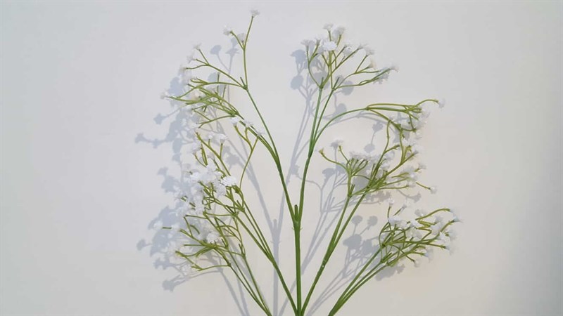 MON JARDİN - MON JARDİN CİPSO