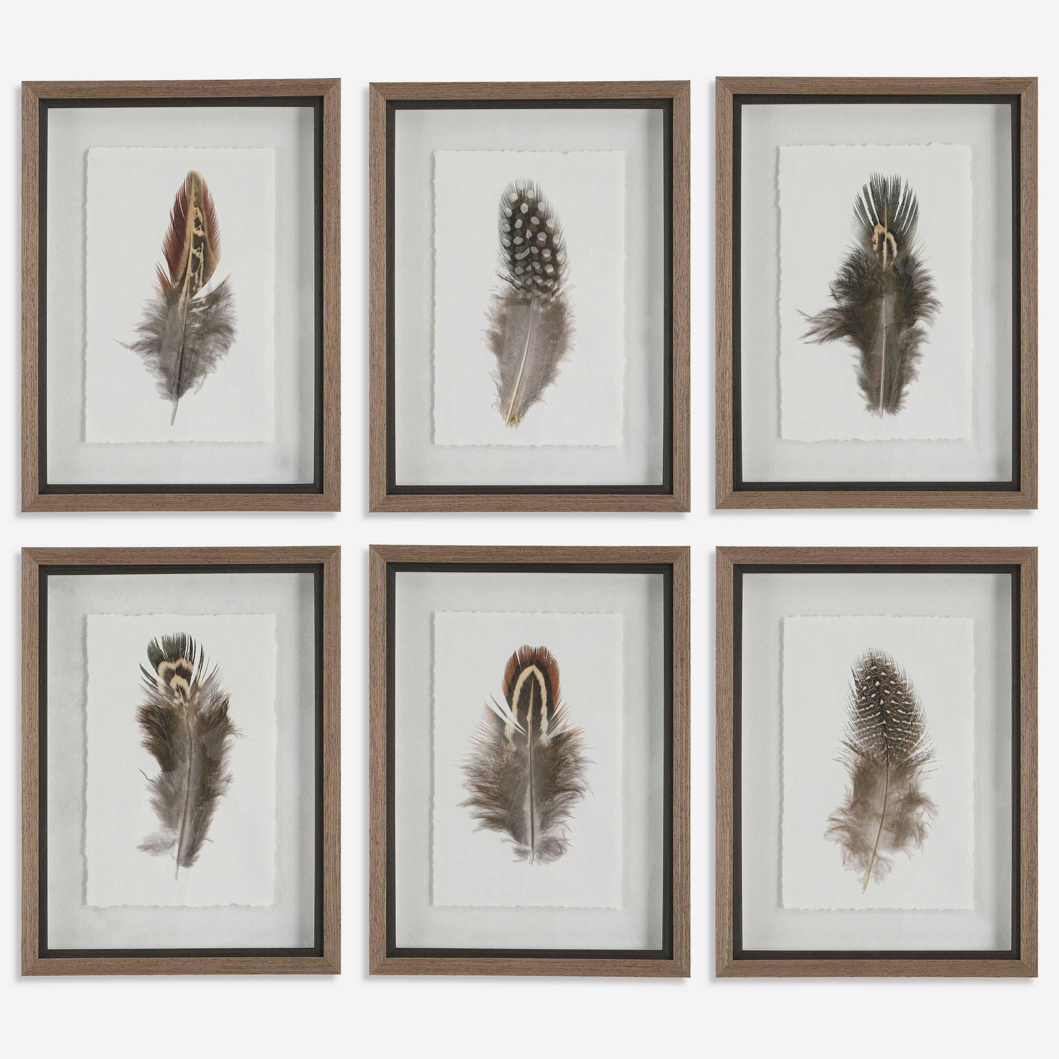 Uttermost - Uttermost Birds Of A Feather Framed Prints