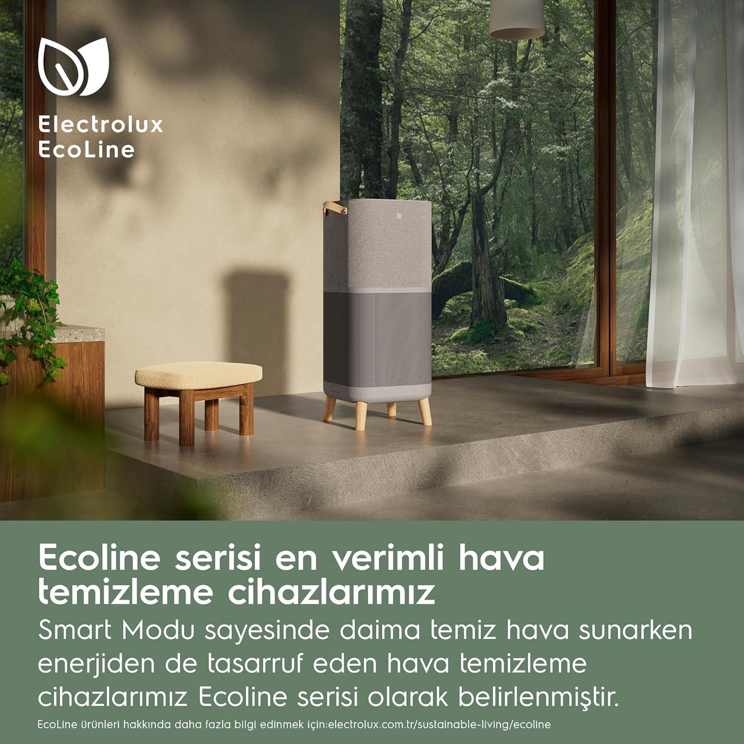 Electrolux EPU93171UG Hava Temizleyici