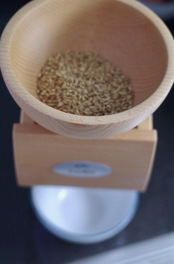 Komo - Flocman Elektrikli Ezme Cihazı - 1003