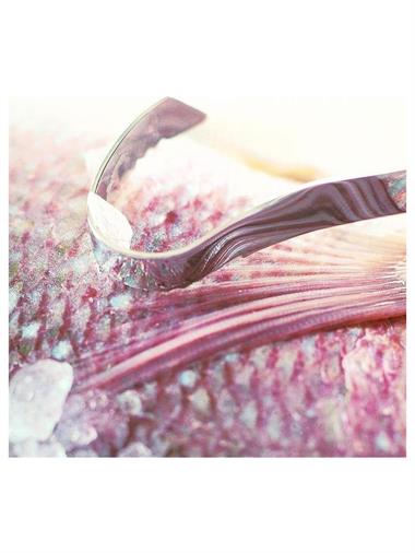 Rösle Balık Pulu Temizleyici Paslanmaz Çelik 21 cm 12749