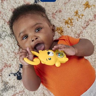 Fisher Price Eğlenceli Dostlar Çıngıraklı Dişlik HJW11-HKD71