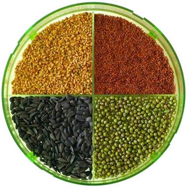 GEO - Filizlendirme Rafları - TZZ0870