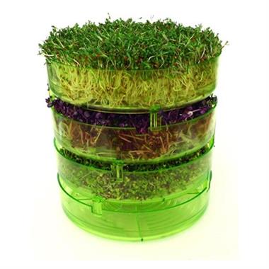 GEO - Filizlendirme Rafları - TZZ0870