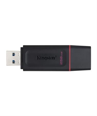 Kingston 256GB USB3.2 Gen1 DataTraveler Exodia (Black + Pink)