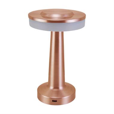 PANTHER PT-701 USB ŞARJLI MASA LAMBASI