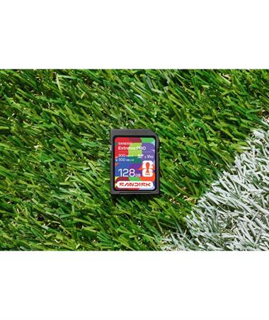 SANDISK SD UHS-II 128GB FWC 2026 Edition
