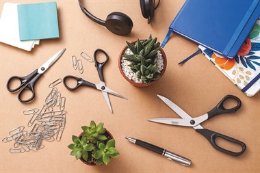 Tramontina 25904/105 Çiçekçi Makası