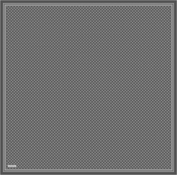 Armine Monogram Desenli Saf İpek Sura Eşarp 9345D 80