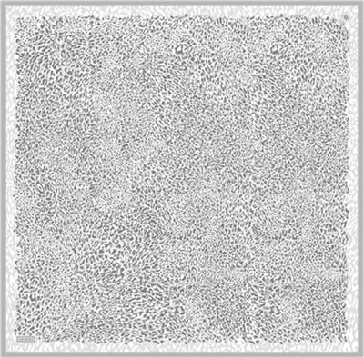 Armine Leopar Desenli Saf İpek Sura Eşarp 9352D 83