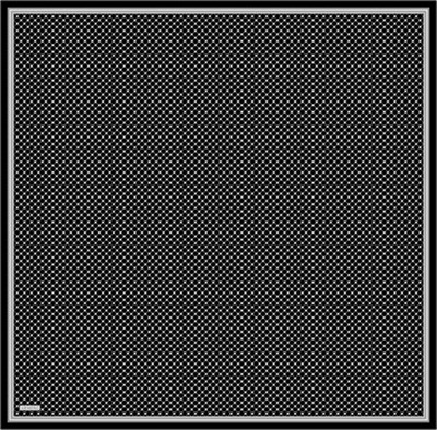 Armine Monogram Desenli Saf İpek Sura Eşarp 9345D 10