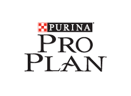 Pro Plan