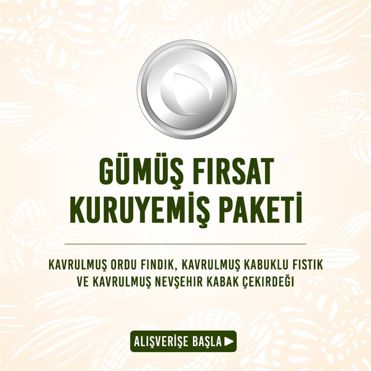 Gümüş Fırsat Kuruyemiş Paketi (3 Kg/Ad) (Kg Fiyatı: 26,25 TL)