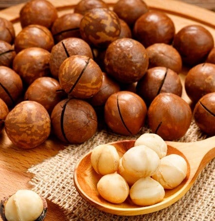 Kabuklu Makademya Fındığı (Kavrulmuş)