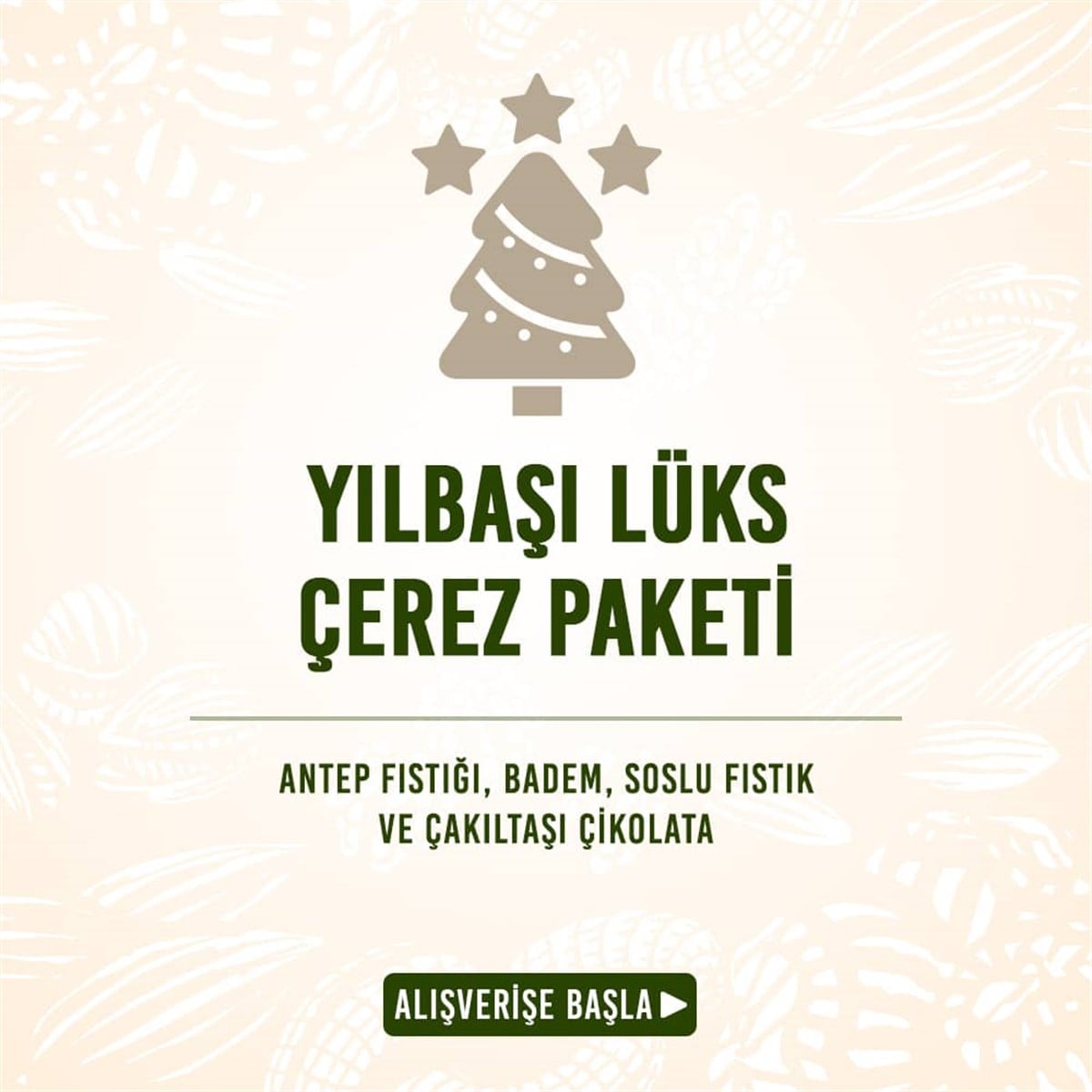 Yılbaşı Lüks Çerez Paketi (4 Kg/Ad) (Kg Fiyatı: 53,75 TL)