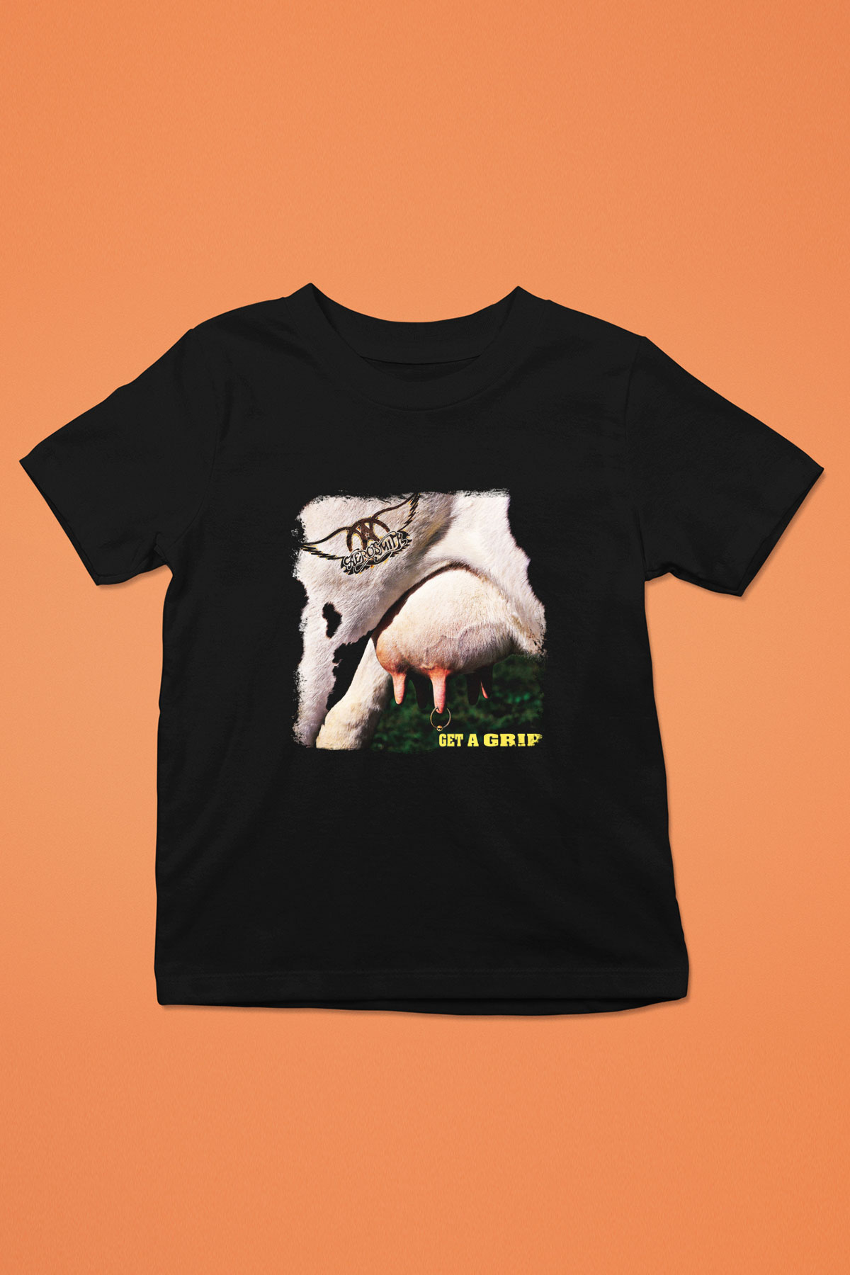 Aerosmith Baskılı Unisex Siyah Çocuk Tişört