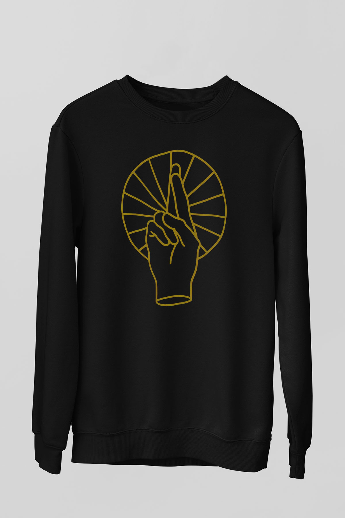 Anberlin Siyah Unisex Sweatshirt