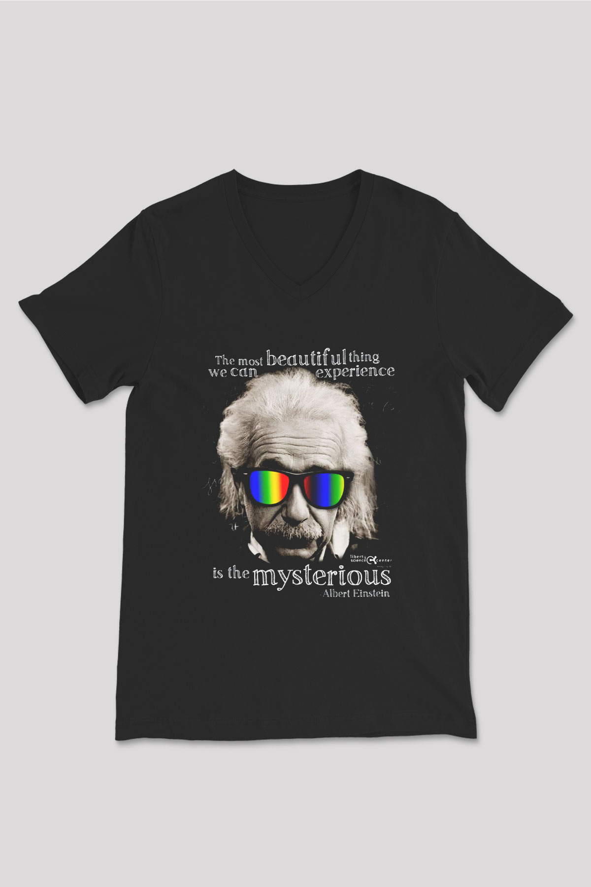Einstein Siyah Unisex V Yaka Tişört T-Shirt