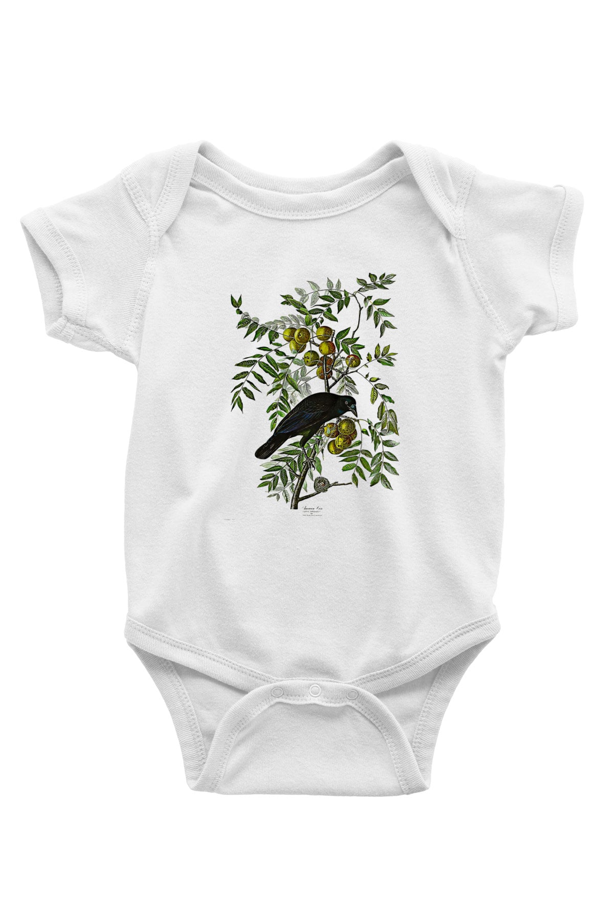 Karga Baskılı Beyaz Unisex Bebek Body - Zıbın