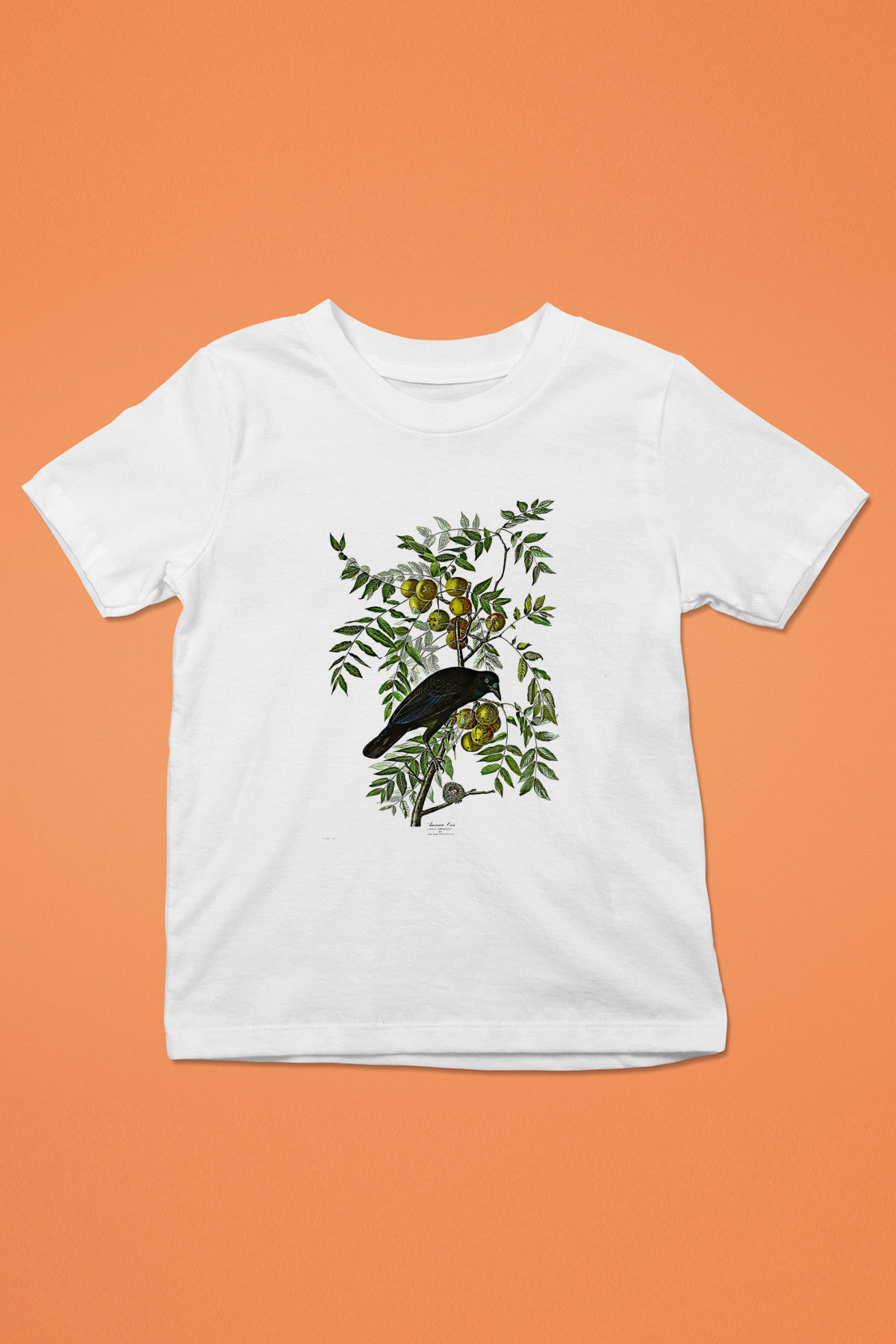 Karga Baskılı Beyaz Unisex Beyaz Çocuk Tişört - Tshirt