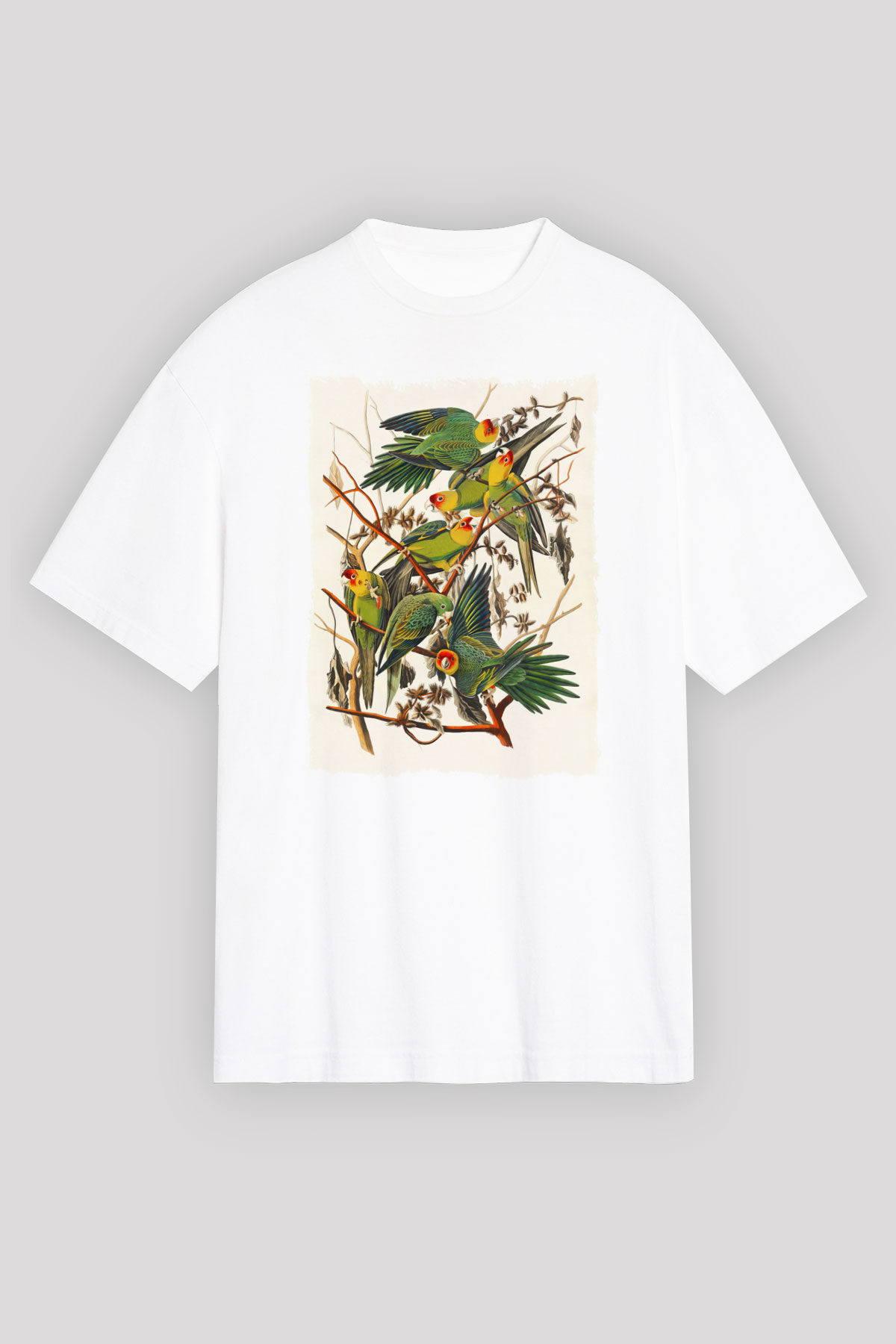 Kuş Beyaz Oversize Tişört Oversize T-shirt - TişörtFabrikası