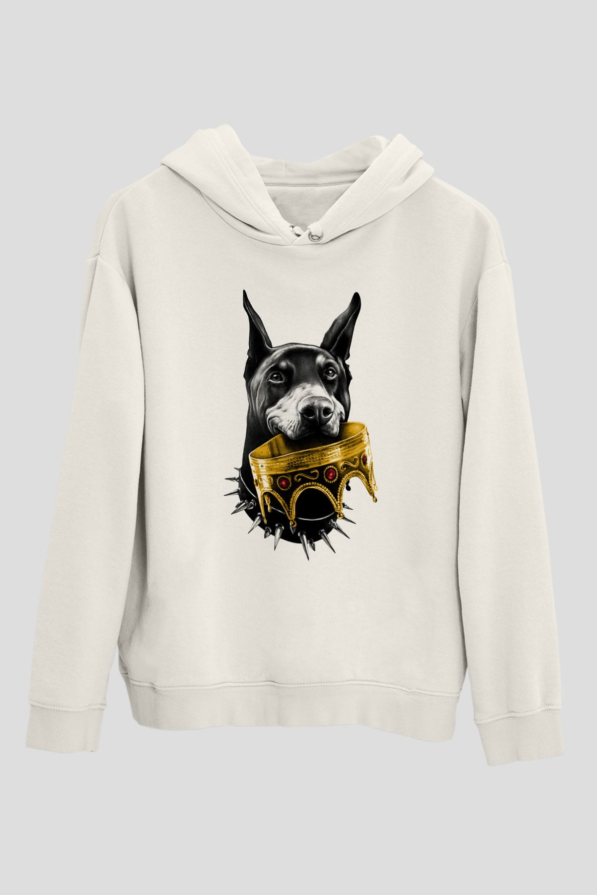 Tasarım Kapşonlu Sweatshirt TSR142